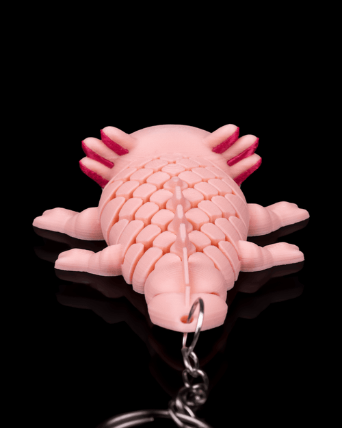 Ashley the Axolotl – 3D Printed Axolotl