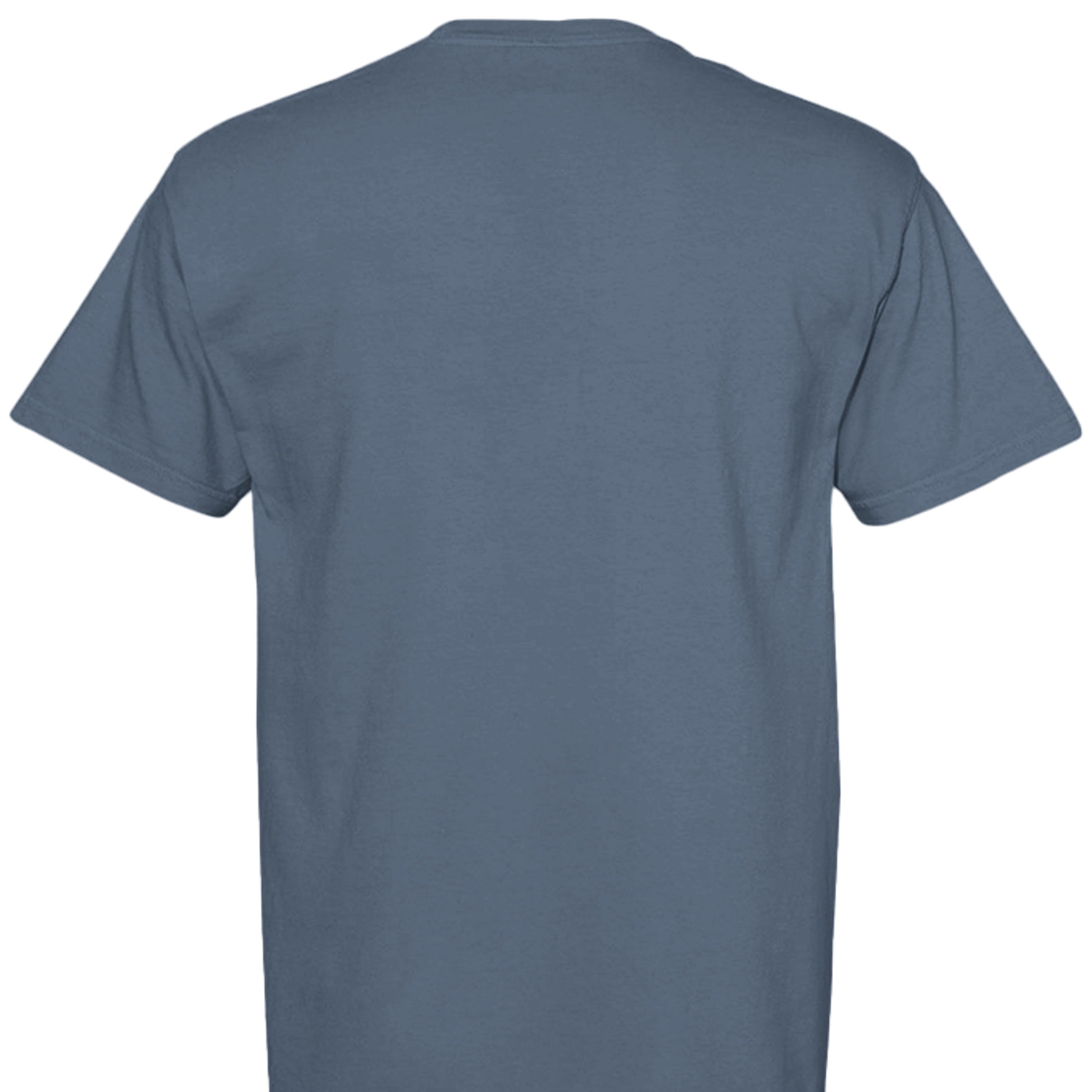 BLUE JEAN - C1717 - BACK