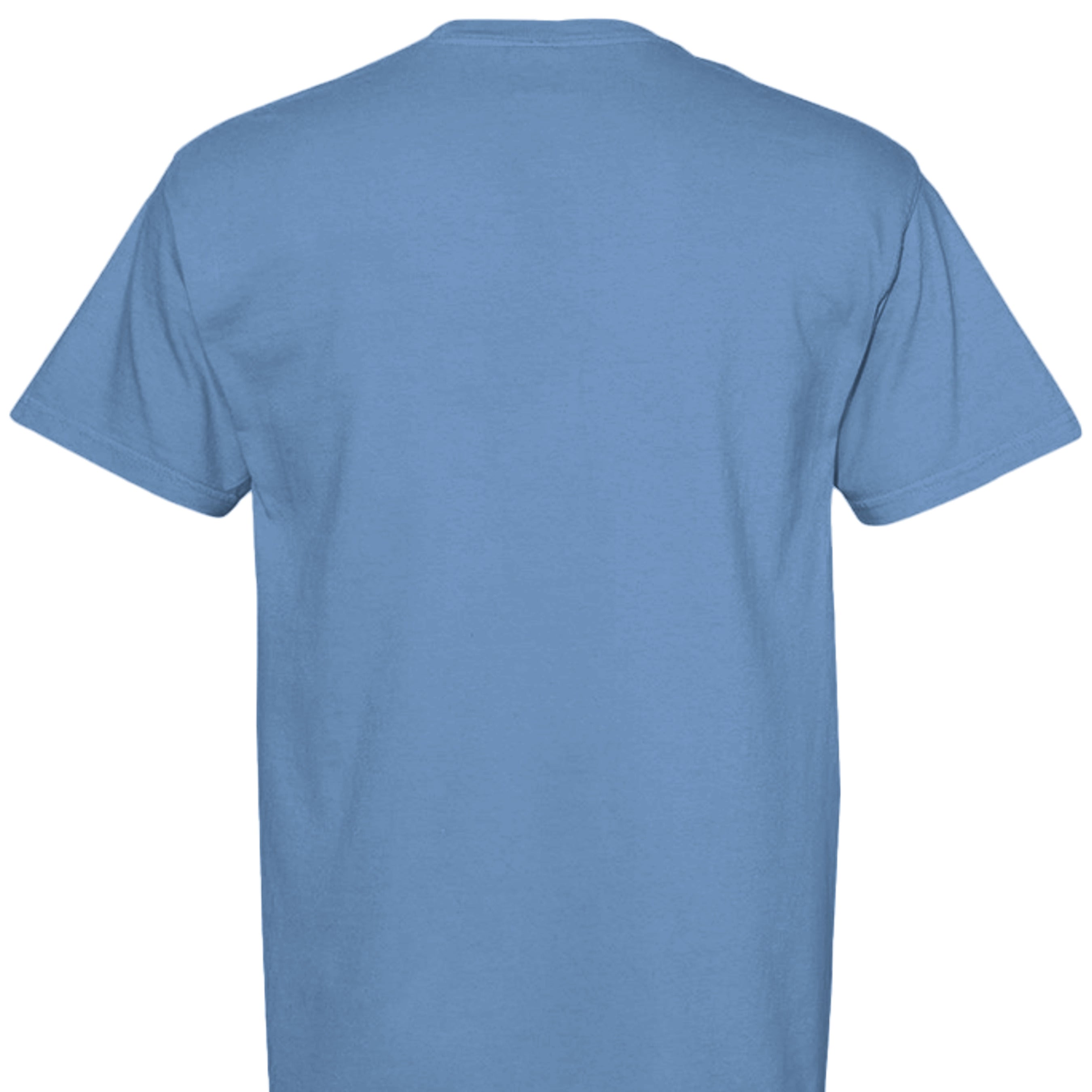 FLO BLUE - C1717 - BACK